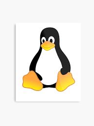 best linux developer in Nigeria