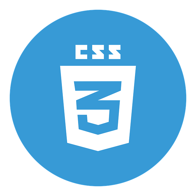 best CSS3 developer in Nigeria